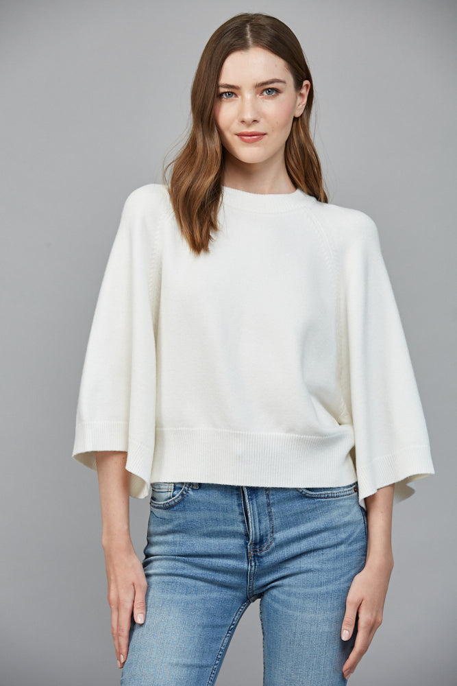 Regan Crew Neck Sweater in Cream - Surprise Lily