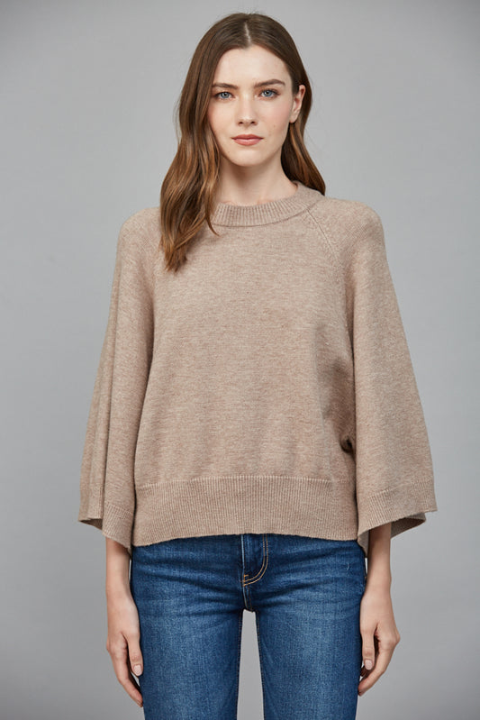 Regan Crew Neck Sweater in Mocha