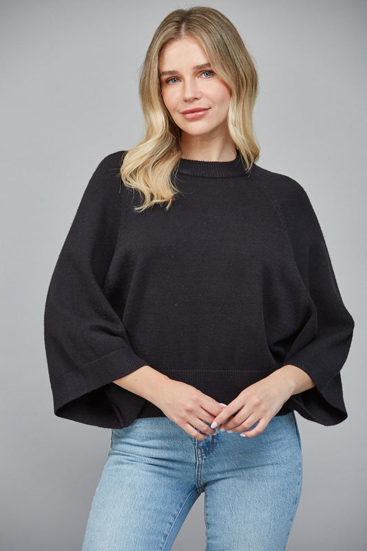 Regan Crew Neck Sweater in Black