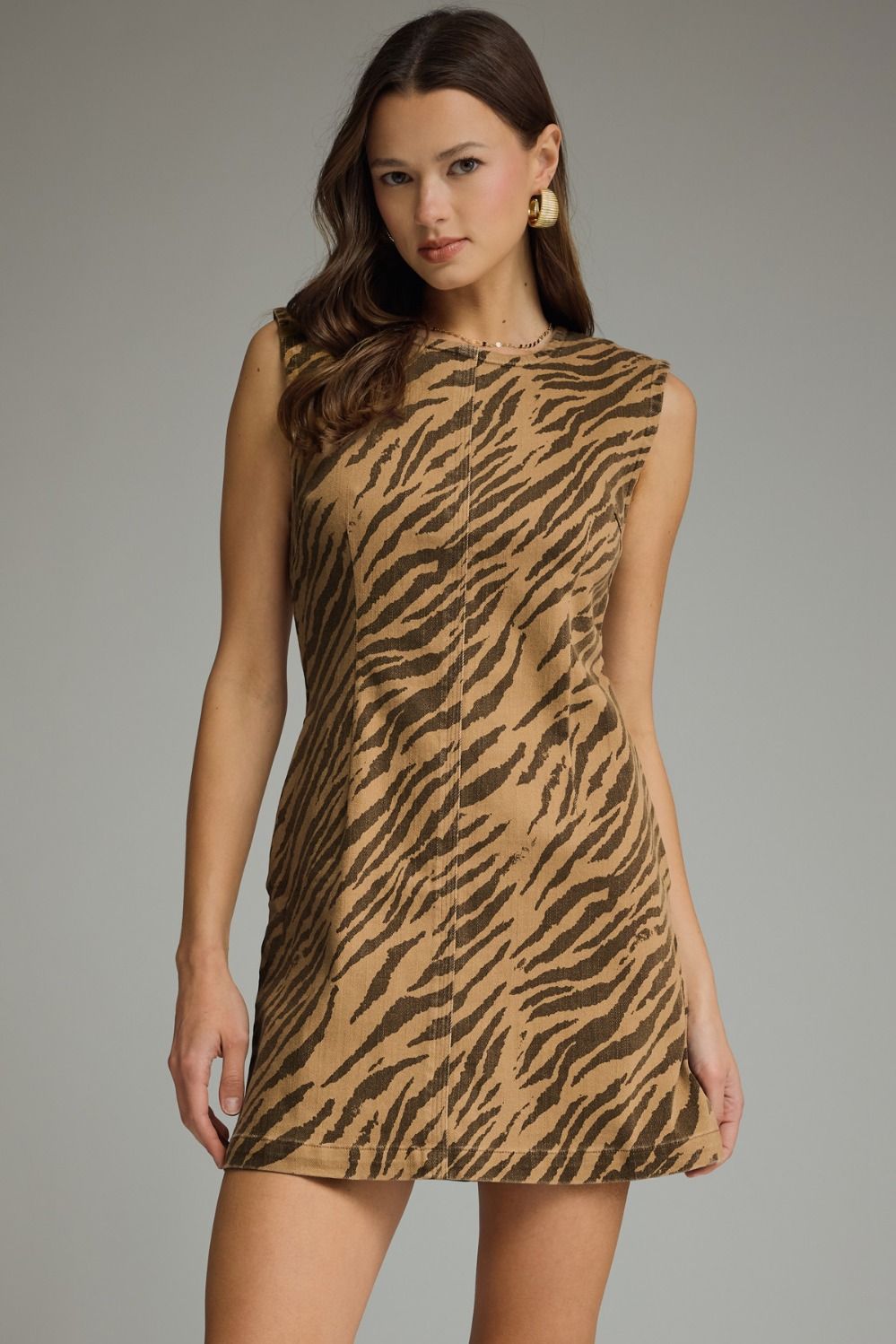 Tan and dark brown zebra-stripe sleeveless mini dress with crew neckline, shoulder detail, center back zip closure, A-line silhouette, and side pockets.