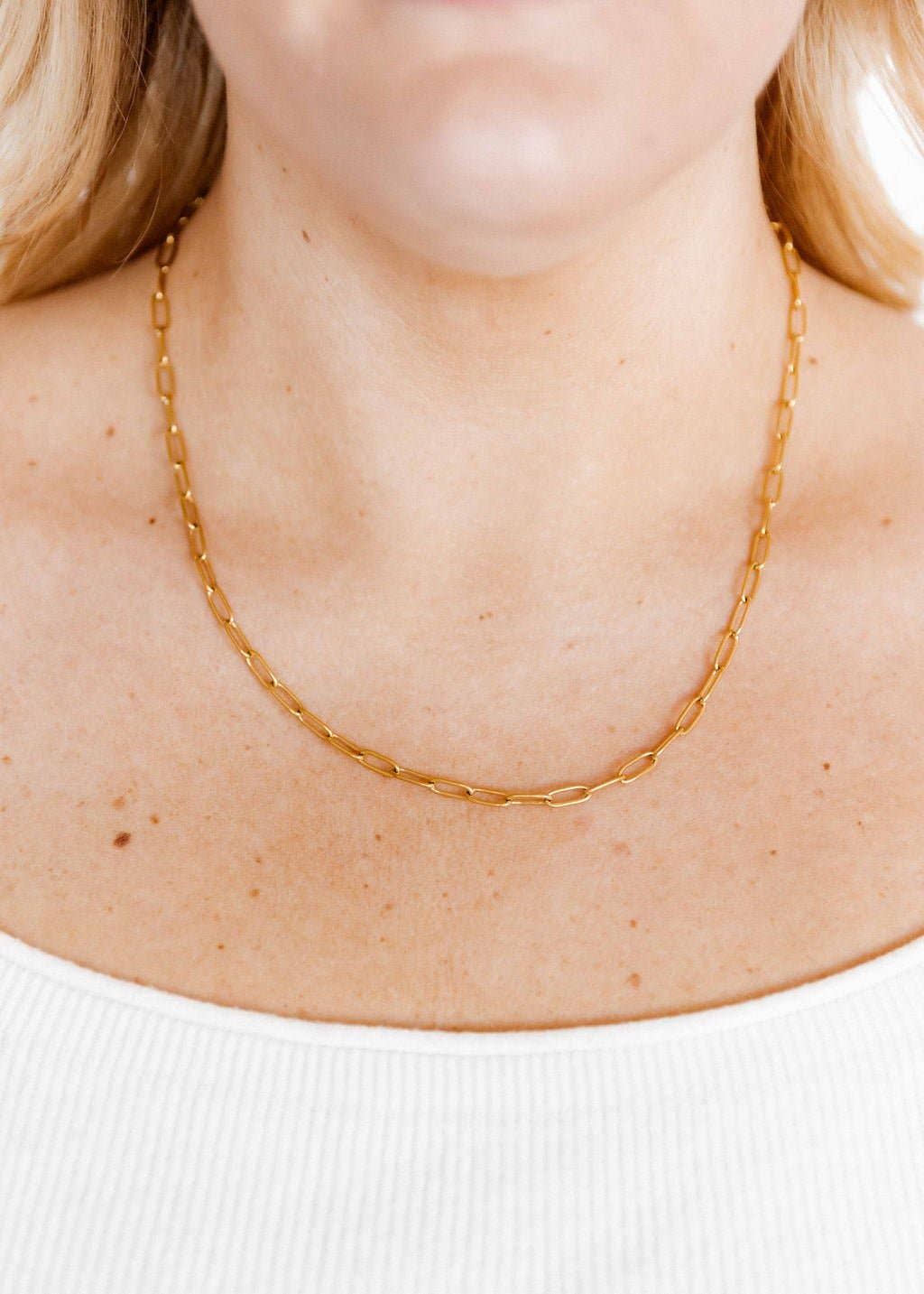 Necklace - Palmer Paperclip Gold - Surprise Lily